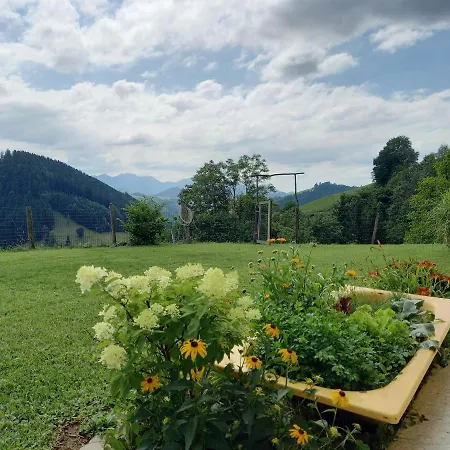 Steinleiten